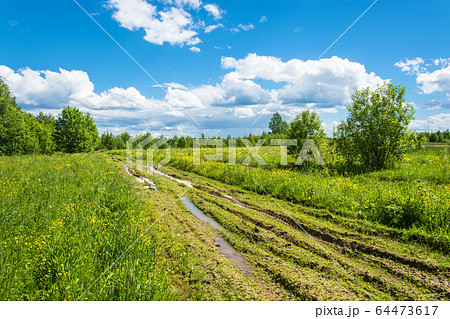 Dirt road after rain. Dirt road after rain. 64473617