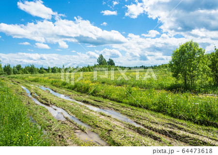 Dirt road after rain. 64473618