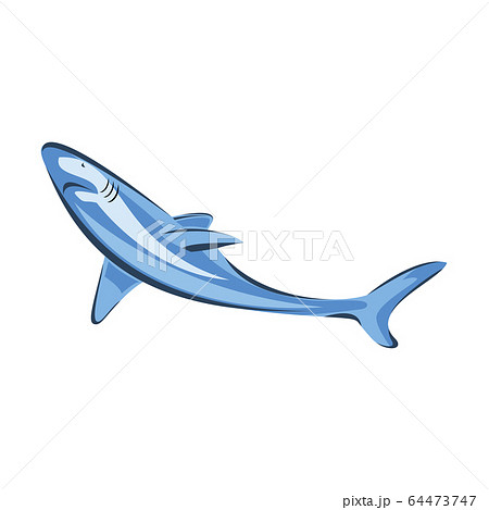 Vector illustration swimming shark animal sea fish Vector illustration swimming shark animal sea fish 64473747