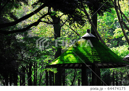 緑の森の中の公園の東屋 64474175