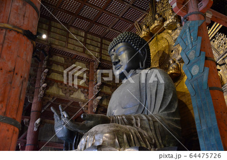 東大寺大仏 東大寺大仏 64475726