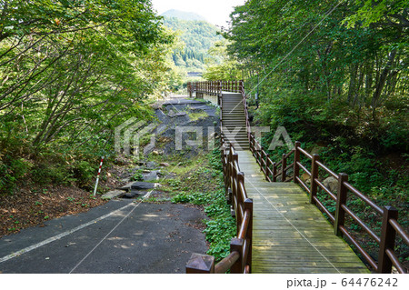 岩手県一関市　国道342号　岩手・宮城内陸地震の遺構　 64476242