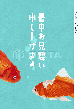 暑中見舞い-寄り添う金魚-夏の訪れ-はがき比率 暑中見舞い-寄り添う金魚-夏の訪れ-はがき比率 64476560