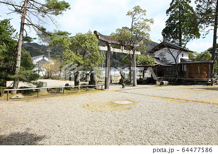 浦島神社 64477586