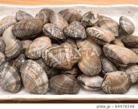 生のアサリ 生のアサリ 64478598