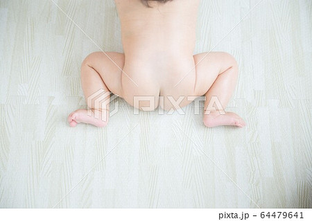 赤ちゃんのお尻 赤ちゃんのお尻 64479641
