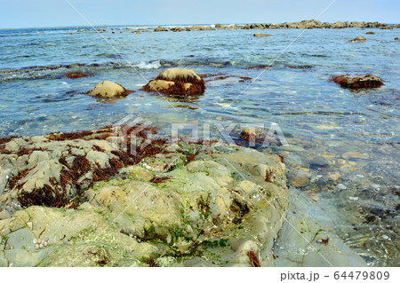 平磯海岸 平磯海岸 64479809