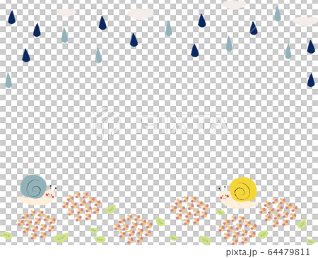 Hydrangea rain 64479811