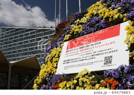 新型コロナウイルス 新型コロナウイルス 64479865