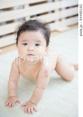 裸の赤ちゃん 裸の赤ちゃん 64480182