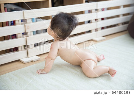 裸の赤ちゃん 裸の赤ちゃん 64480193