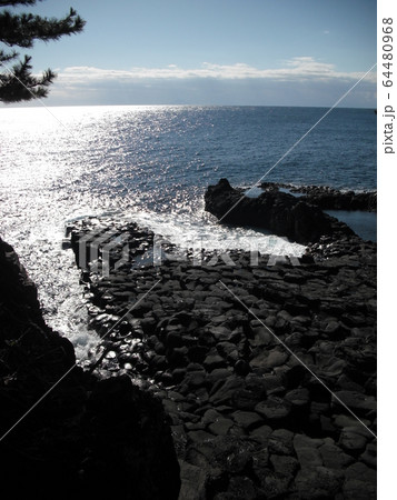 大淀・子淀 3 64480968