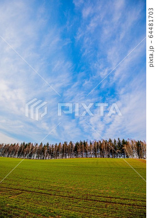 4月　春の美瑛 64481703