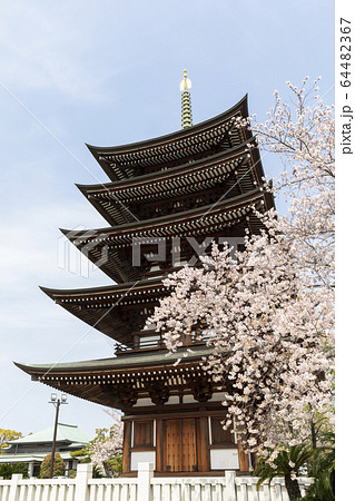 覚王山 日泰寺 五重の塔 覚王山 日泰寺 五重の塔 64482367