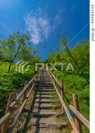 コッタロ展望台 64483143