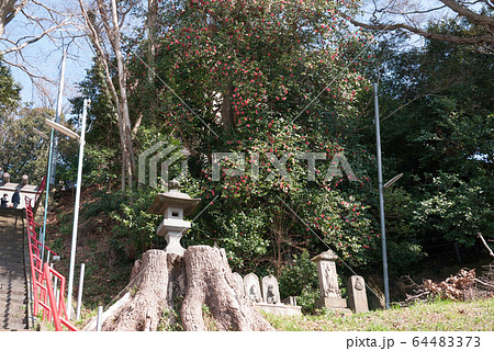 下永谷神明社 64483373