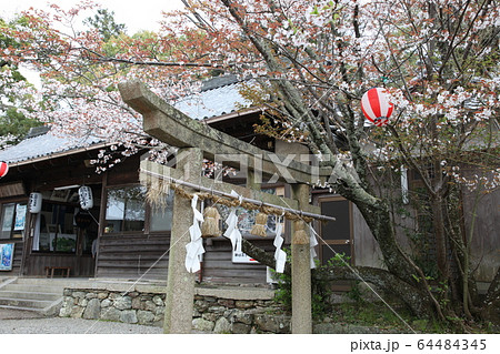 藤白神社 64484345