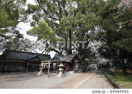 藤白神社 藤白神社 64484493