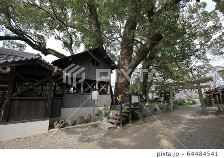 藤白神社 藤白神社 64484541