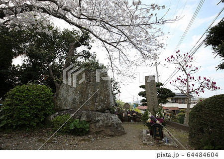藤白神社 64484604