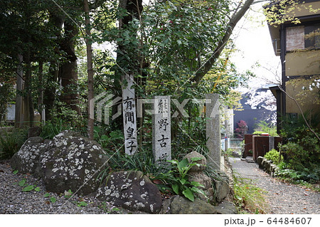 藤白神社 64484607