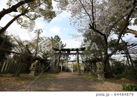 藤白神社 64484879