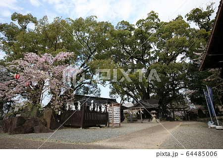 藤白神社 藤白神社 64485006