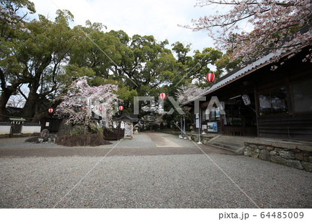 藤白神社 64485009