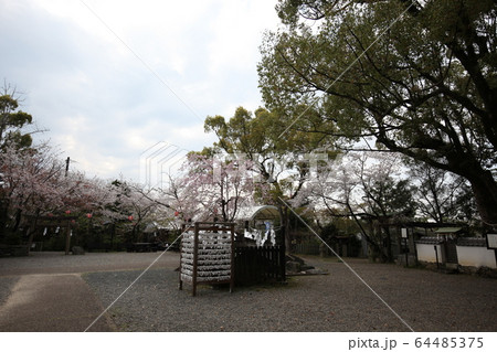 藤白神社 64485375