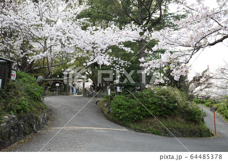 藤白神社 64485378