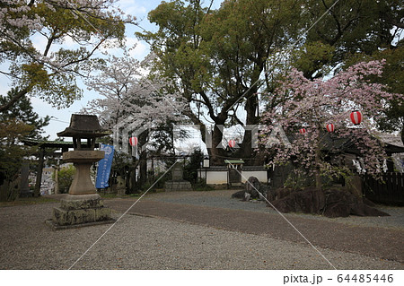 藤白神社 64485446
