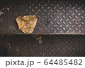 The leaves of the dry bodhi tree lay on the metal stairway steps. 64485482