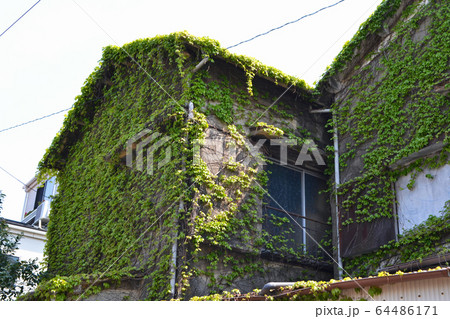 古い家・住宅　建て替え・修理 64486171
