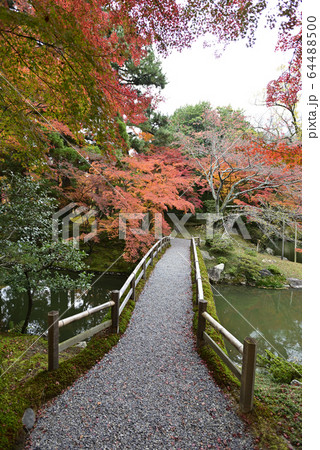 京都仙洞御所 南池 紅葉 京都仙洞御所 南池 紅葉 64488500