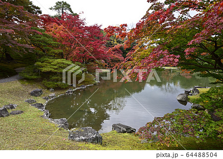 京都仙洞御所　南池　紅葉 64488504