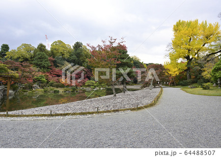 京都仙洞御所 南池 紅葉 京都仙洞御所 南池 紅葉 64488507
