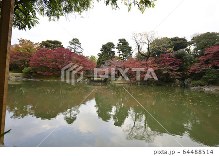 京都仙洞御所 南池 紅葉 京都仙洞御所 南池 紅葉 64488514