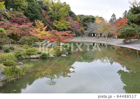 京都仙洞御所 南池 紅葉 京都仙洞御所 南池 紅葉 64488517