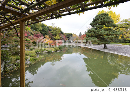 京都仙洞御所 南池 紅葉 京都仙洞御所 南池 紅葉 64488518