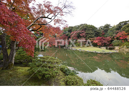 京都仙洞御所　南池　紅葉 64488526