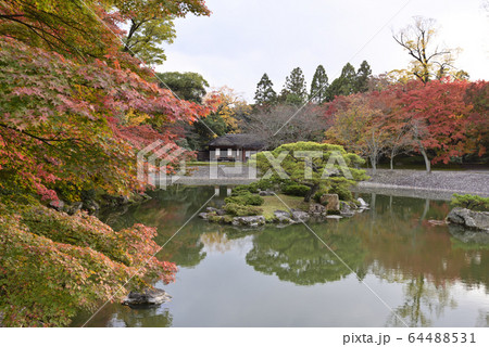 京都仙洞御所 南池 紅葉 京都仙洞御所 南池 紅葉 64488531