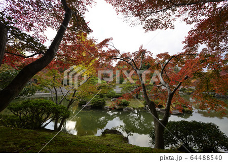 京都仙洞御所 南池 紅葉 京都仙洞御所 南池 紅葉 64488540