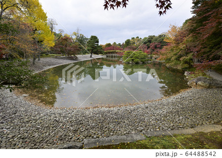 京都仙洞御所 南池 紅葉 京都仙洞御所 南池 紅葉 64488542