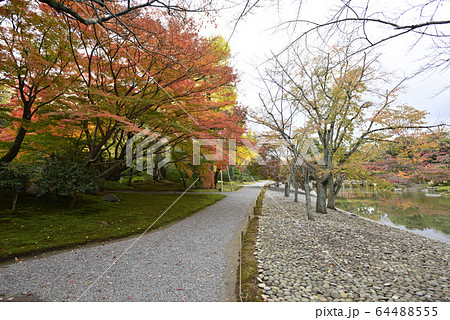 京都仙洞御所 南池 紅葉 京都仙洞御所 南池 紅葉 64488555