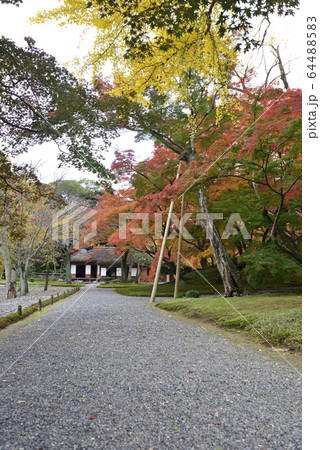 京都仙洞御所 南池 紅葉 京都仙洞御所 南池 紅葉 64488583