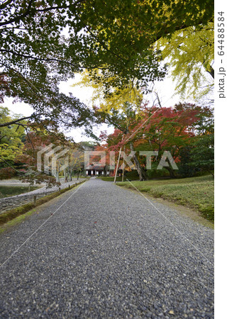 京都仙洞御所 南池 紅葉 京都仙洞御所 南池 紅葉 64488584