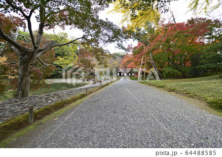 京都仙洞御所 南池 紅葉 京都仙洞御所 南池 紅葉 64488585
