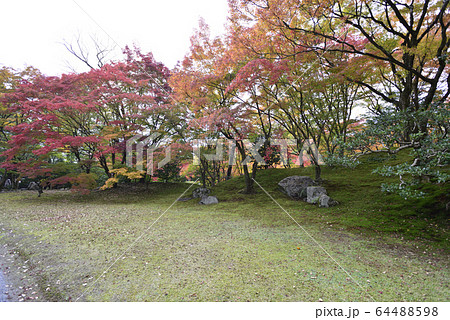 京都仙洞御所 南池 紅葉 京都仙洞御所 南池 紅葉 64488598