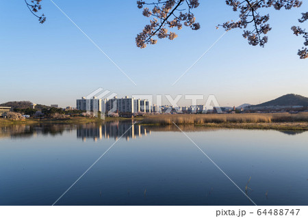 屋外 室外 自然 64488747