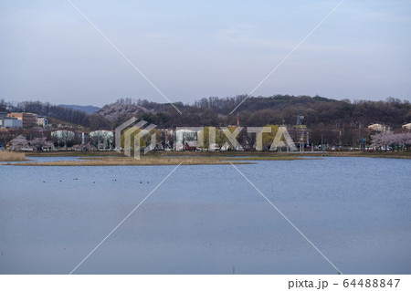 屋外 室外 自然 64488847